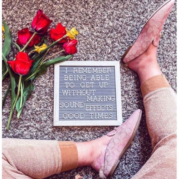 Letterboard Set by Pearhead Live Show Host Tool Baby Pictures Home Decor New - Picture 3 of 3